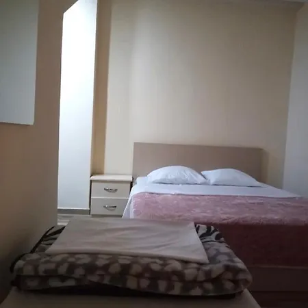 All Stars In Hostal Tirana
