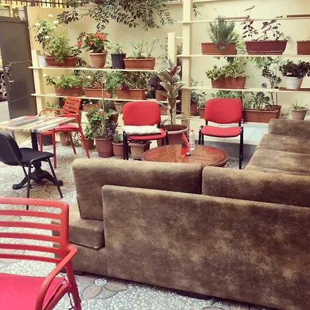 All Stars In Hostal Tirana